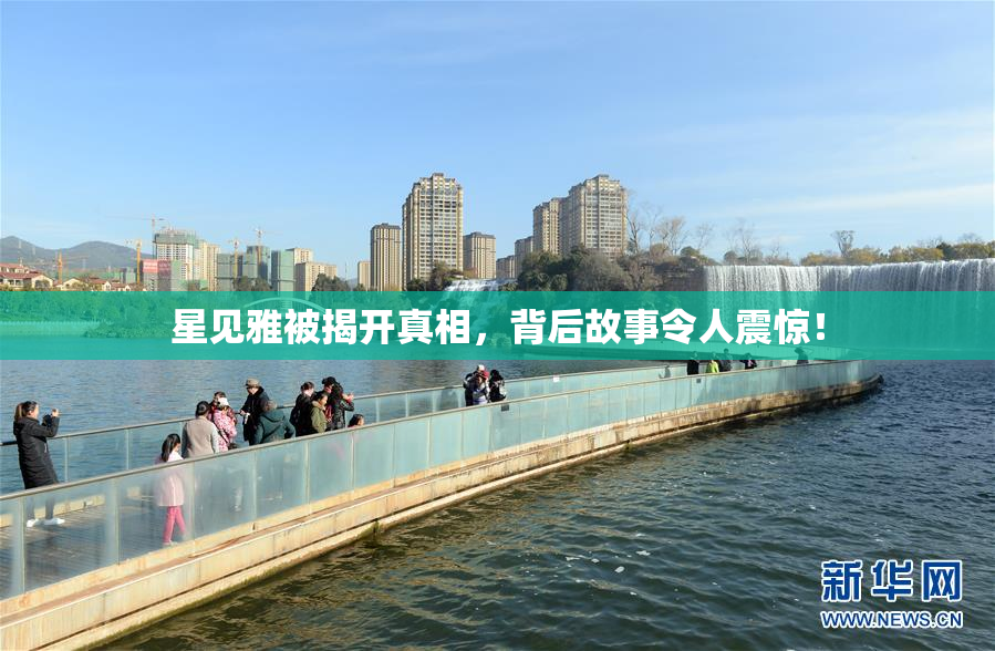 星见雅被揭开真相，背后故事令人震惊！