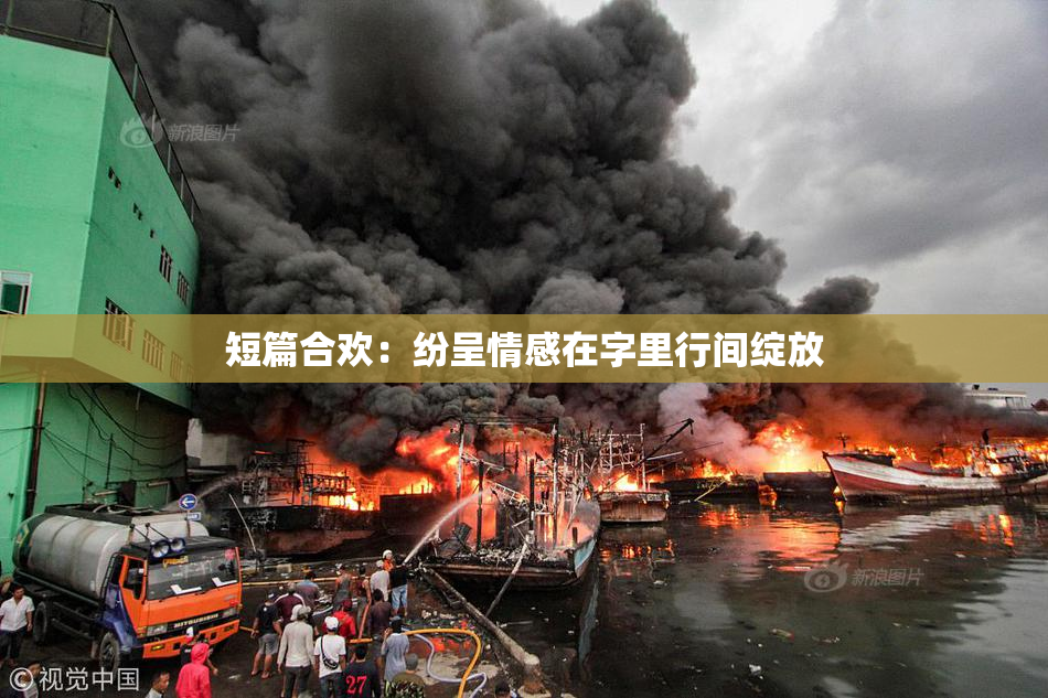 短篇合欢：纷呈情感在字里行间绽放