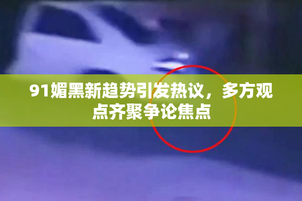 91媚黑新趋势引发热议，多方观点齐聚争论焦点