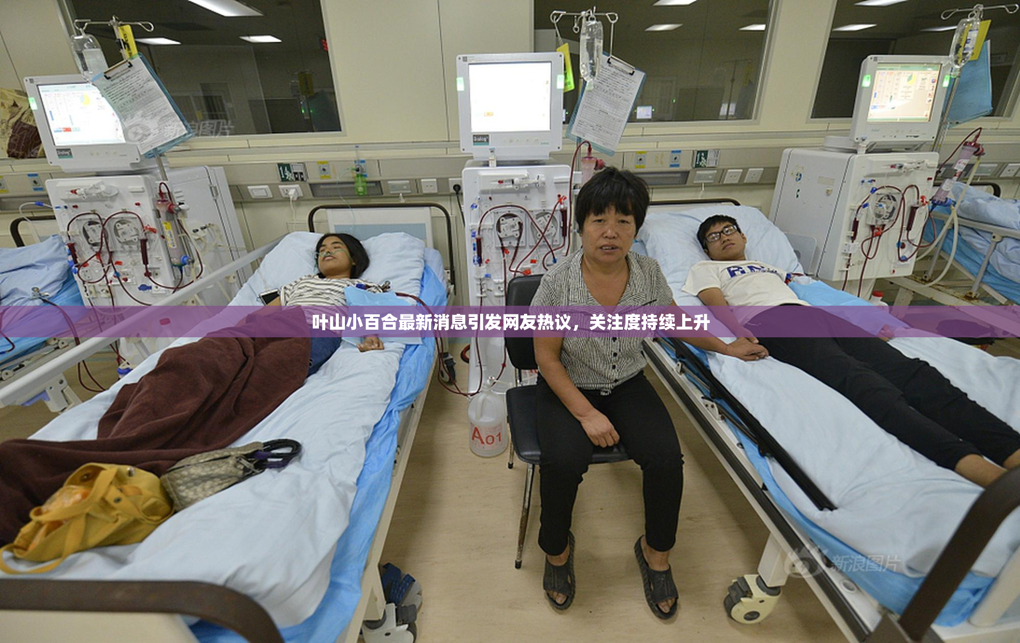 叶山小百合最新消息引发网友热议，关注度持续上升