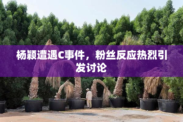 杨颖遭遇C事件，粉丝反应热烈引发讨论