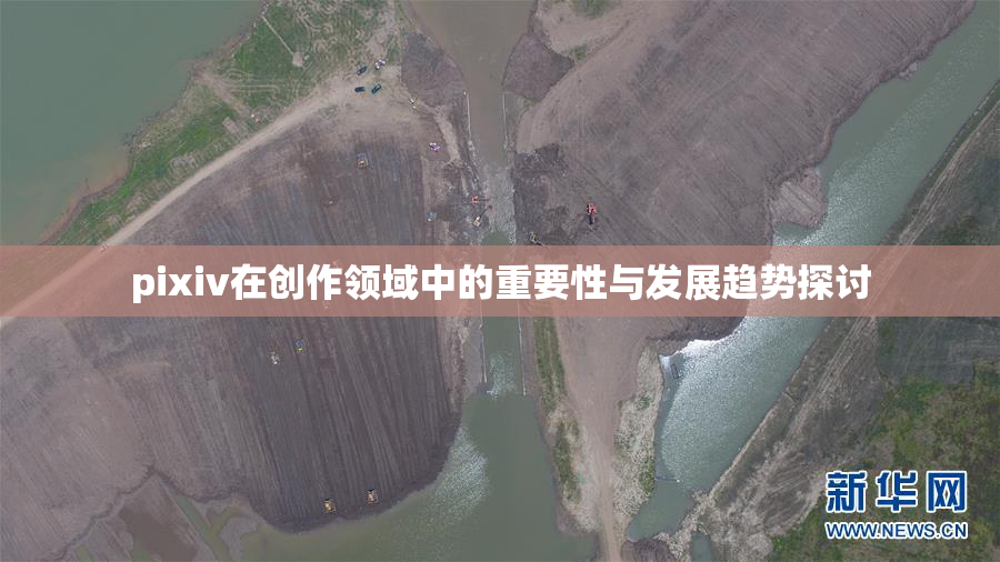 pixiv在创作领域中的重要性与发展趋势探讨