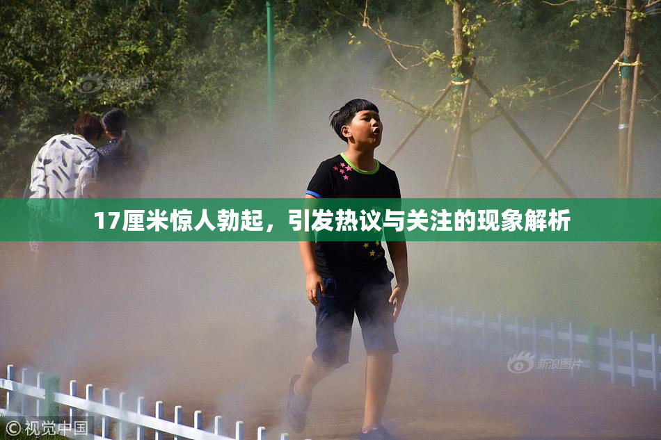17厘米惊人勃起，引发热议与关注的现象解析