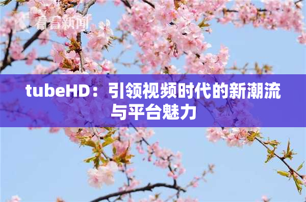tubeHD：引领视频时代的新潮流与平台魅力