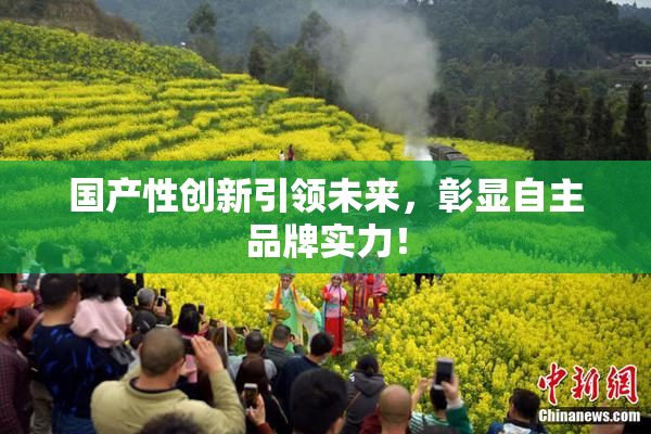 国产性创新引领未来，彰显自主品牌实力！