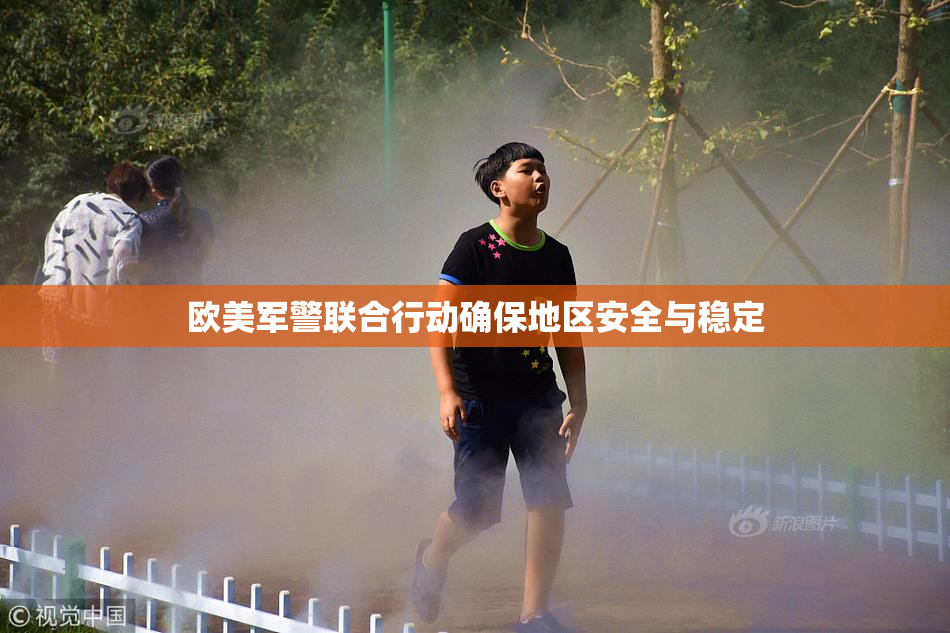 欧美军警联合行动确保地区安全与稳定