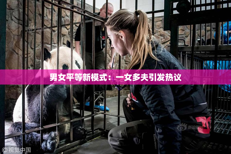 男女平等新模式：一女多夫引发热议