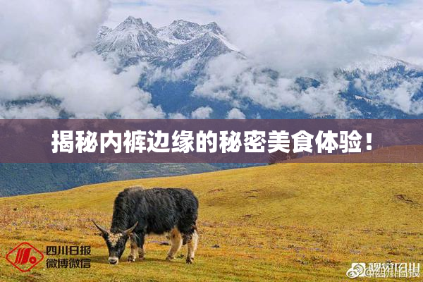 揭秘内裤边缘的秘密美食体验！