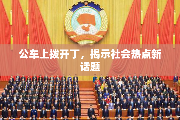 公车上拨开丁，揭示社会热点新话题