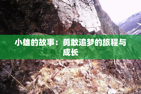 小雄的故事：勇敢追梦的旅程与成长