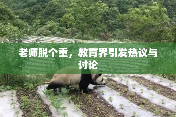 老师脱个重，教育界引发热议与讨论