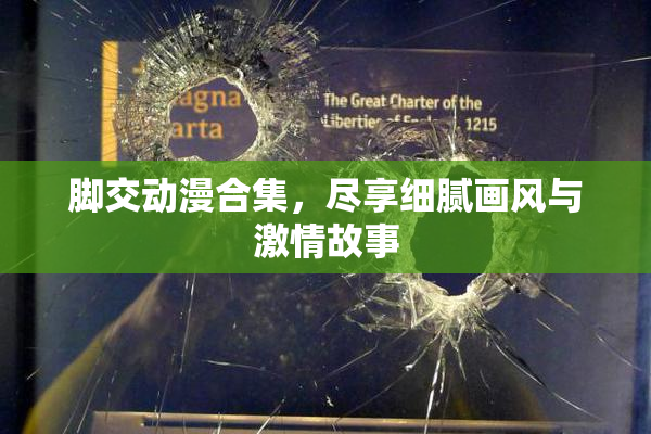 脚交动漫合集，尽享细腻画风与激情故事