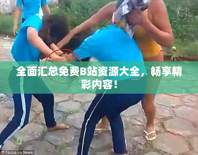 全面汇总免费B站资源大全，畅享精彩内容！