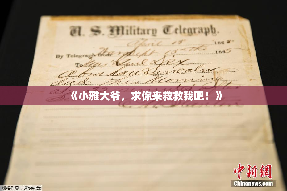 《小雅大爷，求你来救救我吧！》