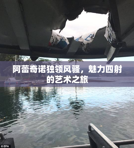 阿蕾奇诺独领风骚，魅力四射的艺术之旅