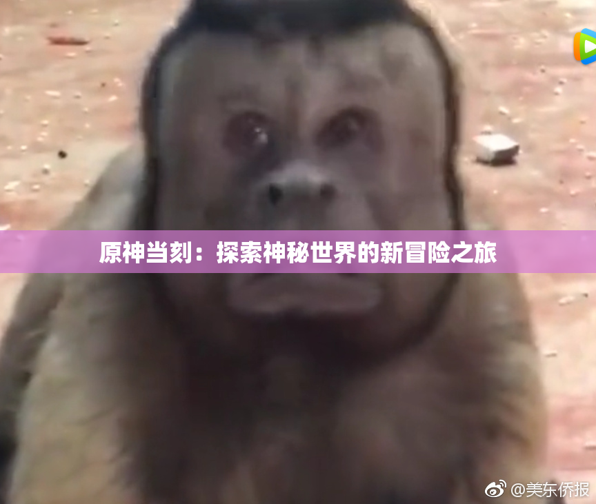 原神当刻：探索神秘世界的新冒险之旅