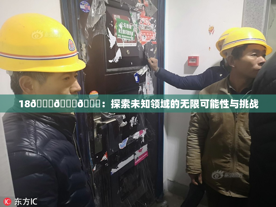 18🔞🍆🍑：探索未知领域的无限可能性与挑战