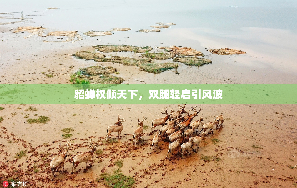貂蝉权倾天下，双腿轻启引风波