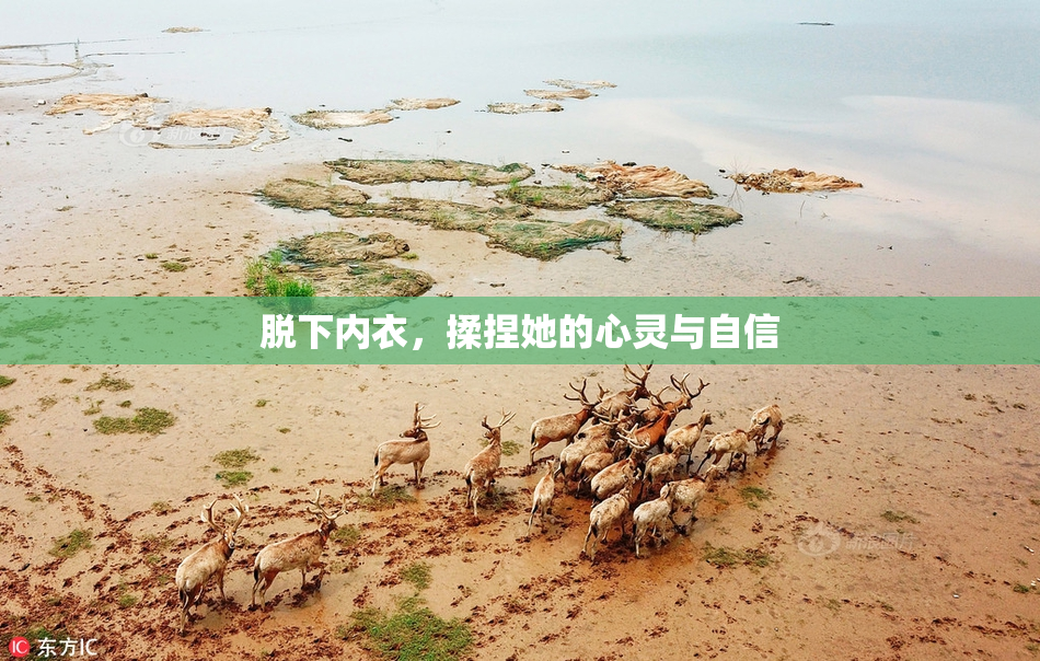 脱下内衣，揉捏她的心灵与自信