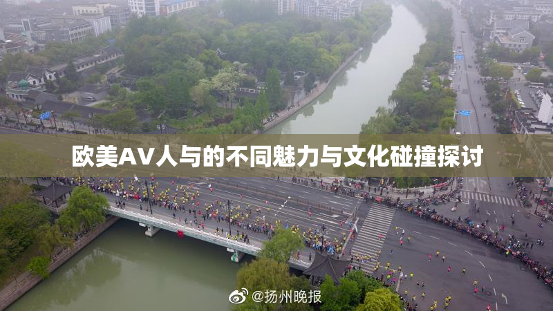 欧美AV人与的不同魅力与文化碰撞探讨