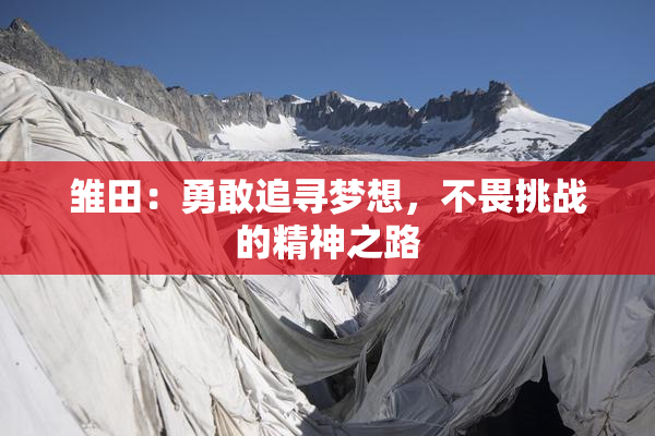 雏田：勇敢追寻梦想，不畏挑战的精神之路