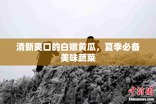 清新爽口的白嫩黄瓜，夏季必备美味蔬菜