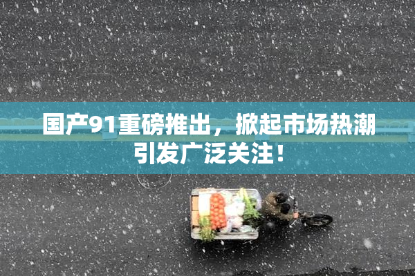 国产91重磅推出，掀起市场热潮引发广泛关注！