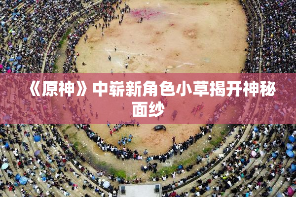 《原神》中崭新角色小草揭开神秘面纱