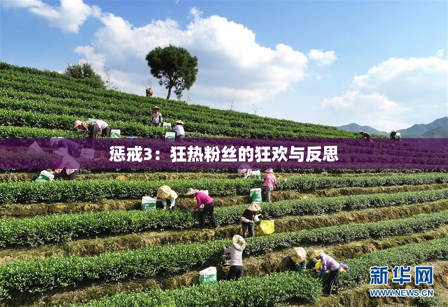惩戒3：狂热粉丝的狂欢与反思