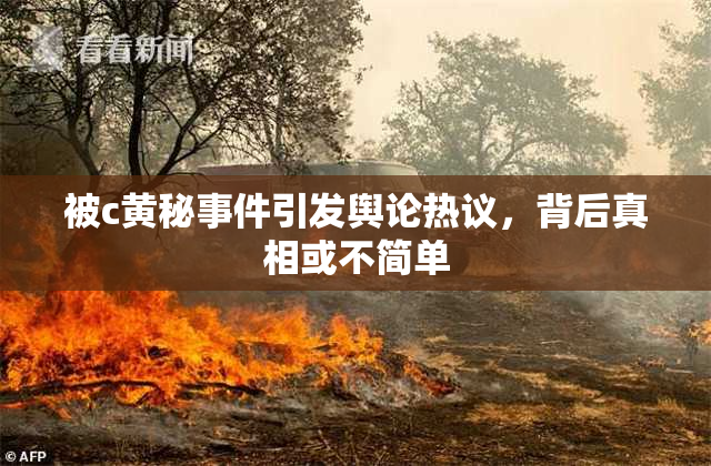 被c黄秘事件引发舆论热议，背后真相或不简单