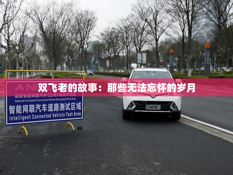 双飞老的故事：那些无法忘怀的岁月