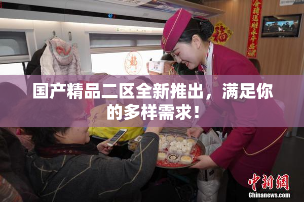 国产精品二区全新推出，满足你的多样需求！