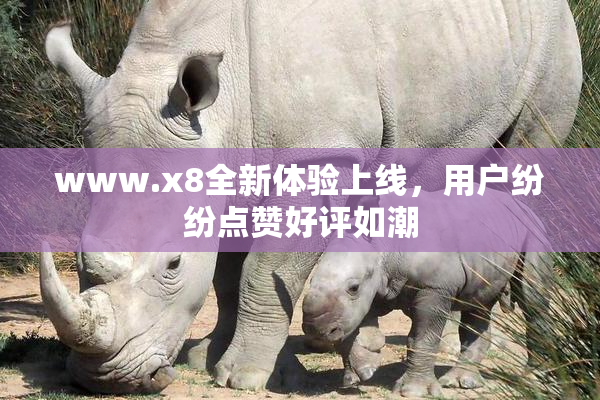 www.x8全新体验上线，用户纷纷点赞好评如潮