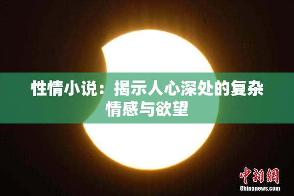 性情小说：揭示人心深处的复杂情感与欲望