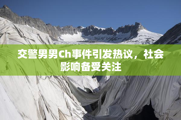 交警男男Ch事件引发热议，社会影响备受关注