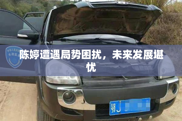 陈婷遭遇局势困扰，未来发展堪忧