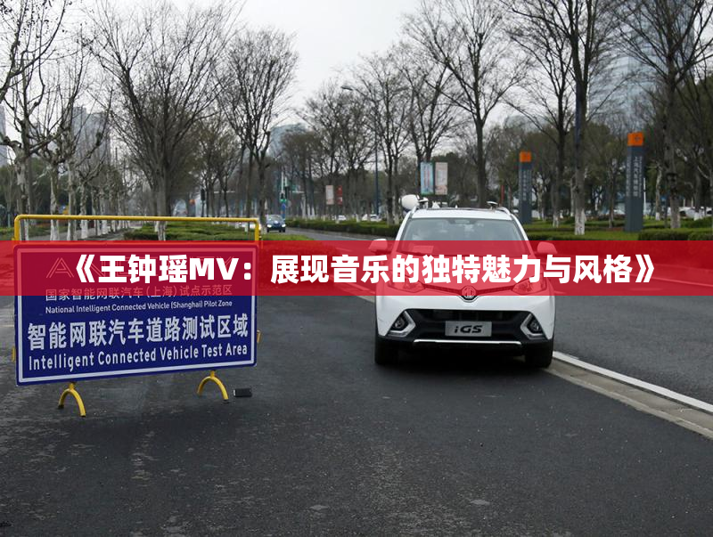 《王钟瑶MV：展现音乐的独特魅力与风格》