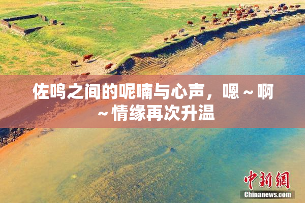 佐鸣之间的呢喃与心声，嗯～啊～情缘再次升温