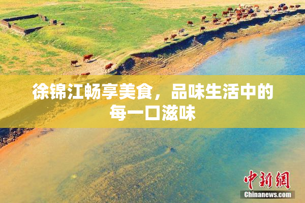 徐锦江畅享美食，品味生活中的每一口滋味