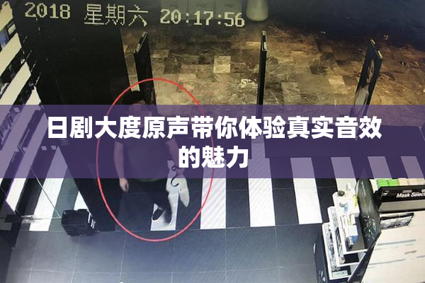 日剧大度原声带你体验真实音效的魅力