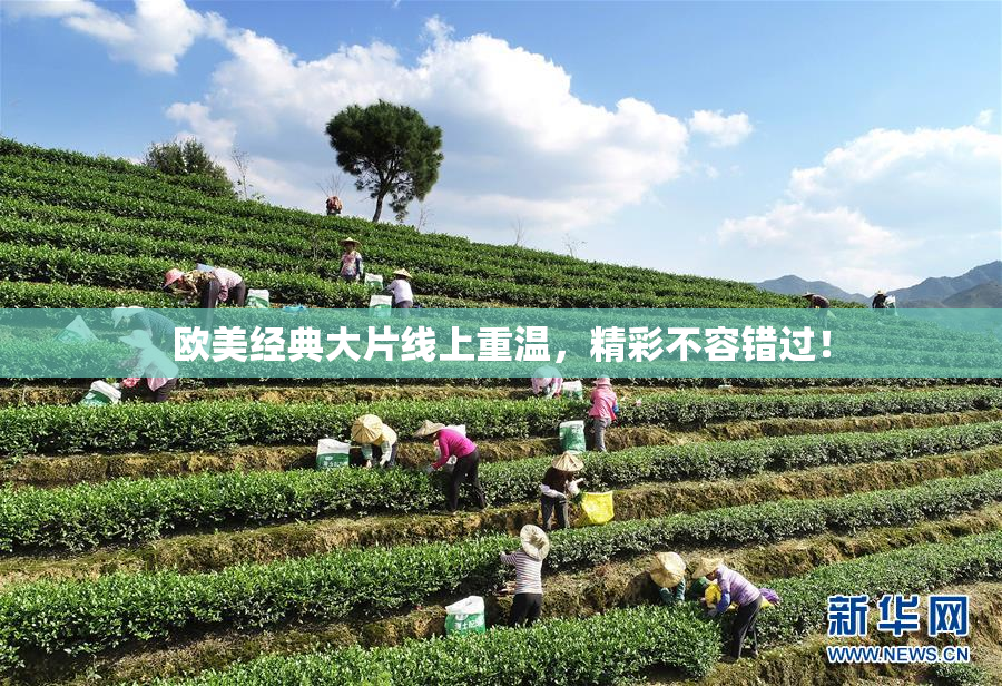 欧美经典大片线上重温，精彩不容错过！