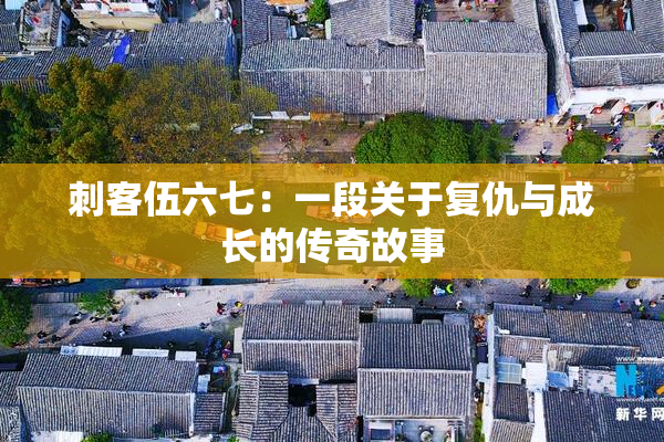 刺客伍六七：一段关于复仇与成长的传奇故事