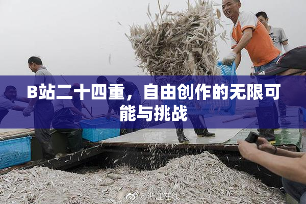 B站二十四重，自由创作的无限可能与挑战