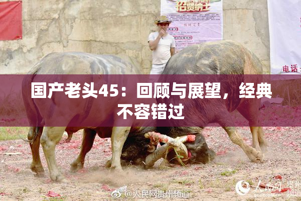 国产老头45：回顾与展望，经典不容错过
