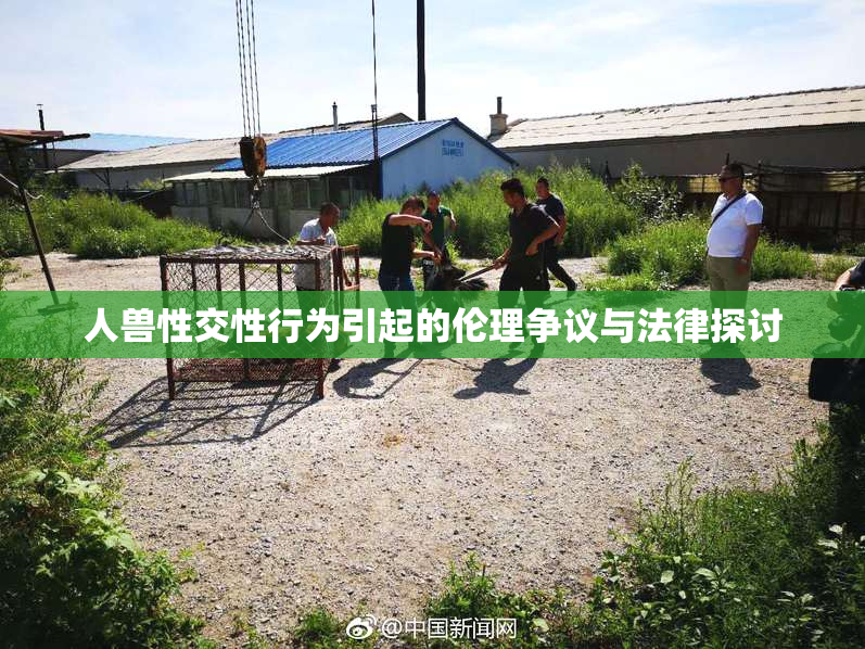 人兽性交性行为引起的伦理争议与法律探讨