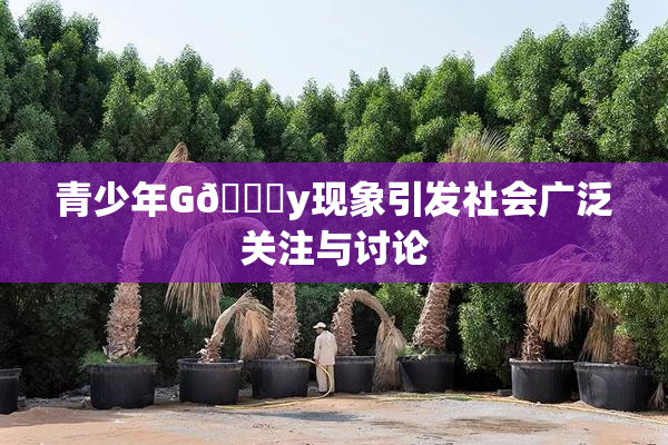 青少年G🈚y现象引发社会广泛关注与讨论