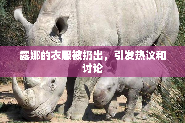 露娜的衣服被扔出，引发热议和讨论