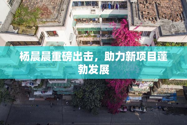 杨晨晨重磅出击，助力新项目蓬勃发展