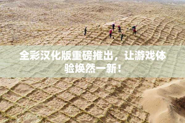 全彩汉化版重磅推出，让游戏体验焕然一新！