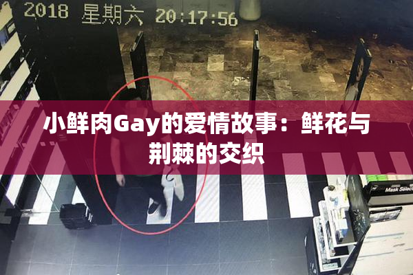 小鲜肉Gay的爱情故事：鲜花与荆棘的交织